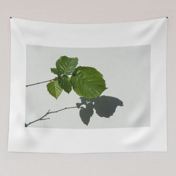 Item preview, Sophisticated Shadows - Glossy Hazelnut Leaves on White Stucco - Horizontal View Right Upwards designed and sold by Georgia Mizuleva.