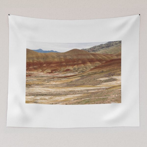 Item preview, The Painted Hills Of Oregon - 4 ©  designed and sold by © Hany G. Jadaa © Prince John Photography.