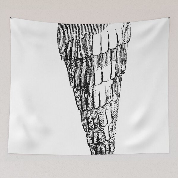 Item preview, Ra in Sea designed and sold by Quill-n-Ink.