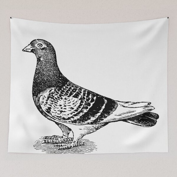 Item preview, Shorty designed and sold by Quill-n-Ink.