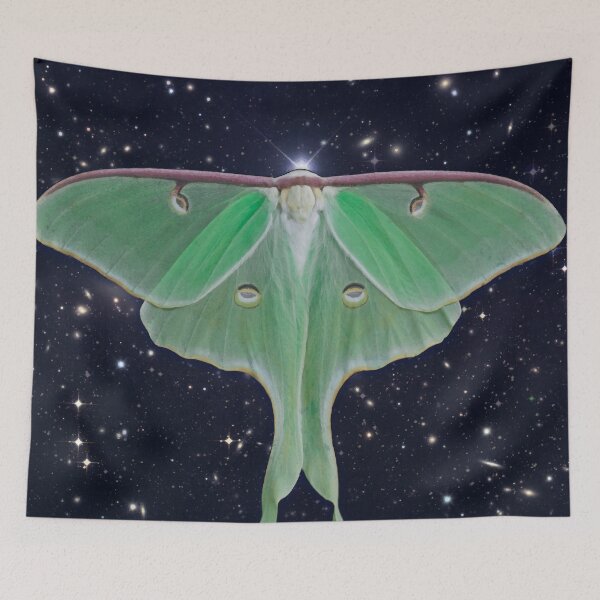 Aperçu de l'œuvre Luna Moth 2 créée et vendue par jenithea.