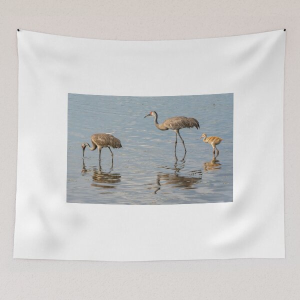Item preview, Sandhill crane family designed and sold by Joe Saladino.