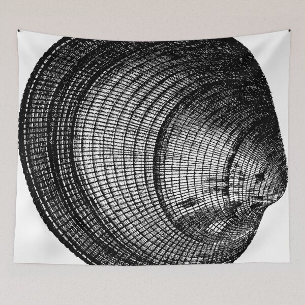 Item preview, Sombrero Shell designed and sold by Quill-n-Ink.