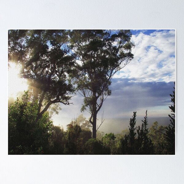 Item preview, 'Late Mist & Sunbeams'  designed and sold by debsphotos.