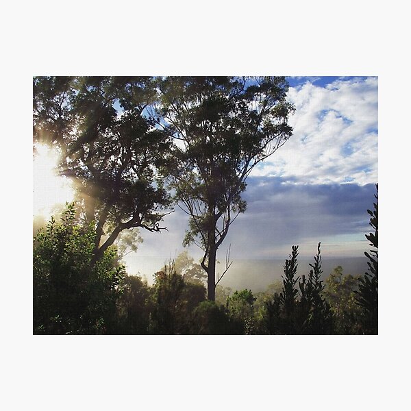 Item preview, 'Late Mist & Sunbeams'  designed and sold by debsphotos.