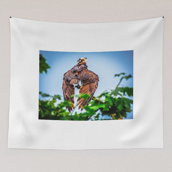 Item preview, FISH HAWK designed and sold by Glenn Feron.