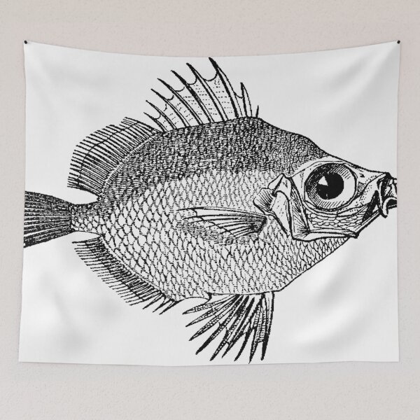 Item preview, Pupil Fish  designed and sold by Quill-n-Ink.