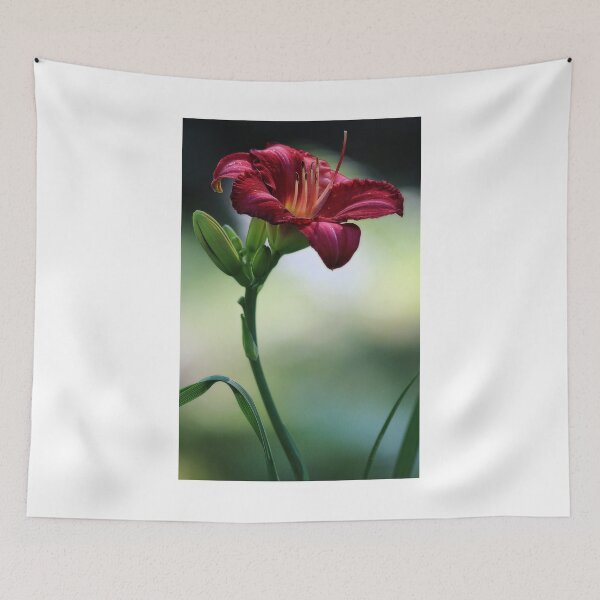Item preview, Daylily - Fading Glory designed and sold by T.J. Martin.