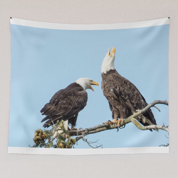 Item preview, Eagle Chatter designed and sold by Jim Stiles.