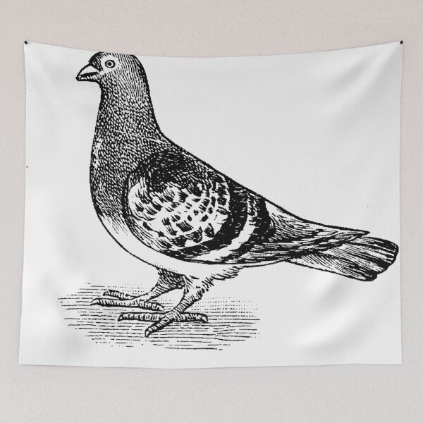 Item preview, Fly Away  designed and sold by Quill-n-Ink.