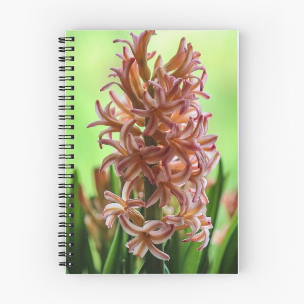 Item preview, Peach Hyacinth designed and sold by Bob Hardy.