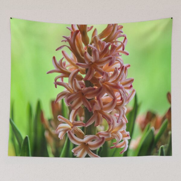 Item preview, Peach Hyacinth designed and sold by Bob Hardy.