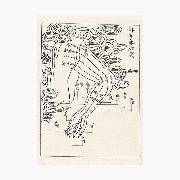 Item preview, Acupuncture points and meridians-The arm designed and sold by citimonster.