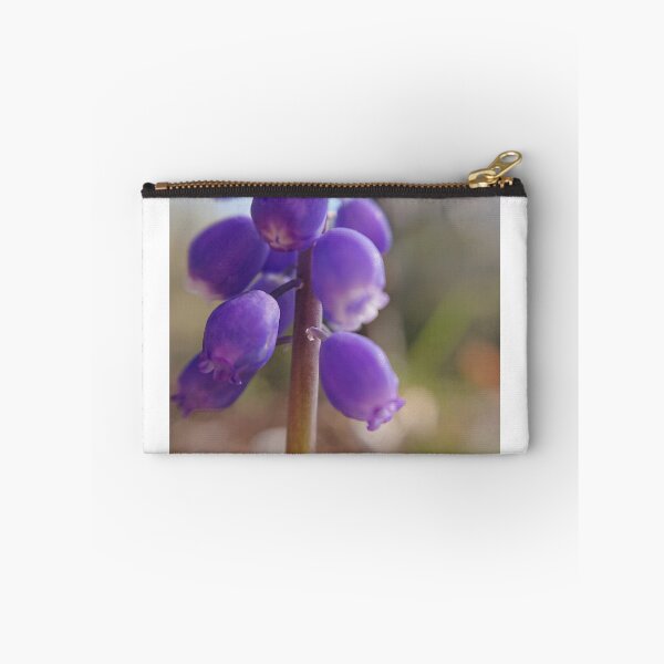 Item preview, Grape Hyacinth in the Sun designed and sold by supernut.