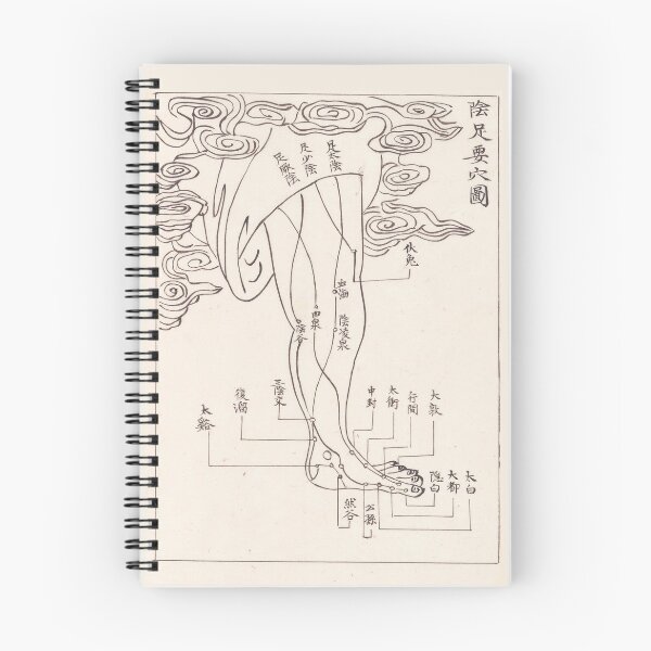 Item preview, Acupuncture points and meridians-The Foot designed and sold by citimonster.