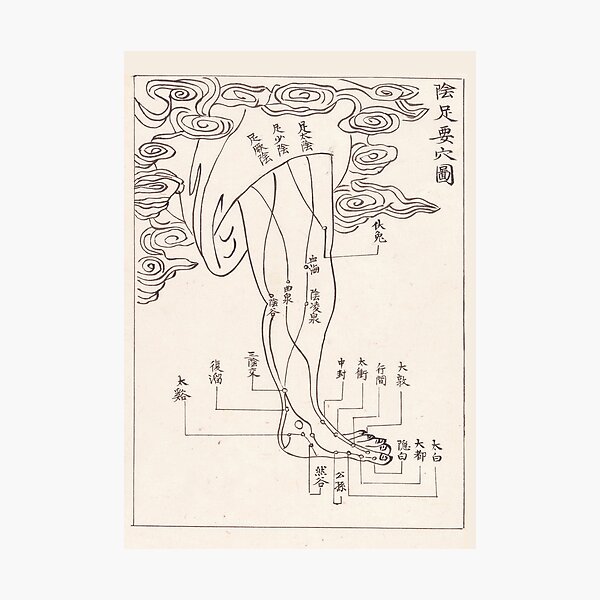 Item preview, Acupuncture points and meridians-The Foot designed and sold by citimonster.