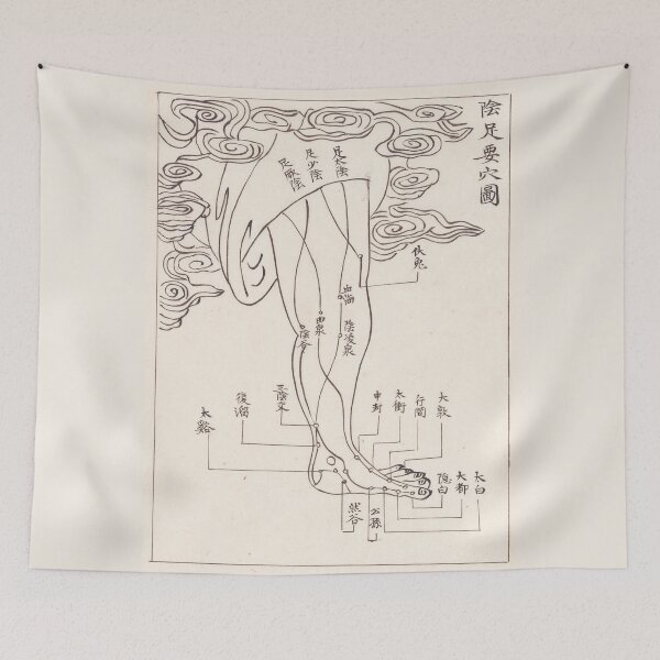 Item preview, Acupuncture points and meridians-The Foot designed and sold by citimonster.
