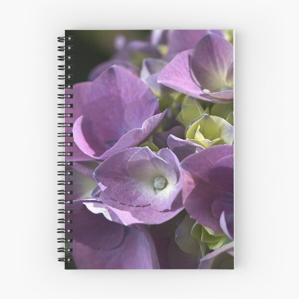 Artikelvorschau, Schatten der Hortensie entworfen und verkauft von Joy Watson - Natural Light Photography .