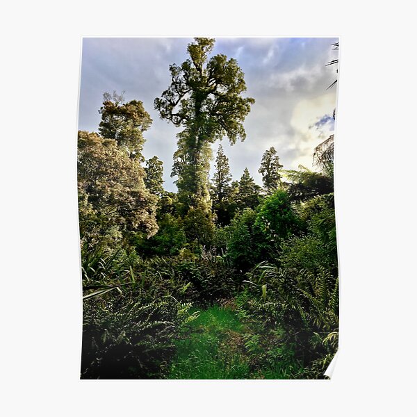 native bush Poster