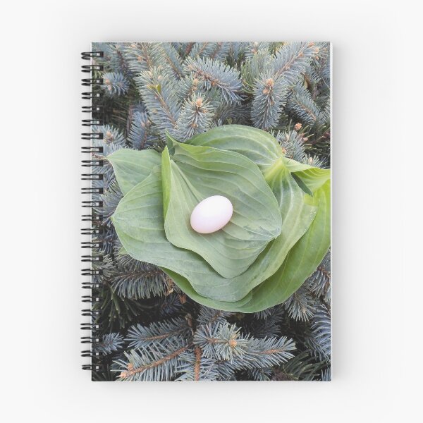 Item preview, Precious Find designed and sold by John McCloskey.