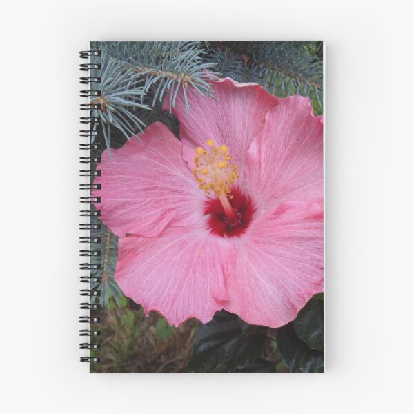 Item preview, Hibiscus Now designed and sold by John McCloskey.