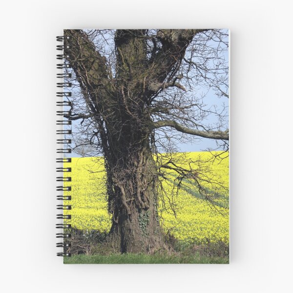 Item preview, Fields of gold designed and sold by JohnDalkin.