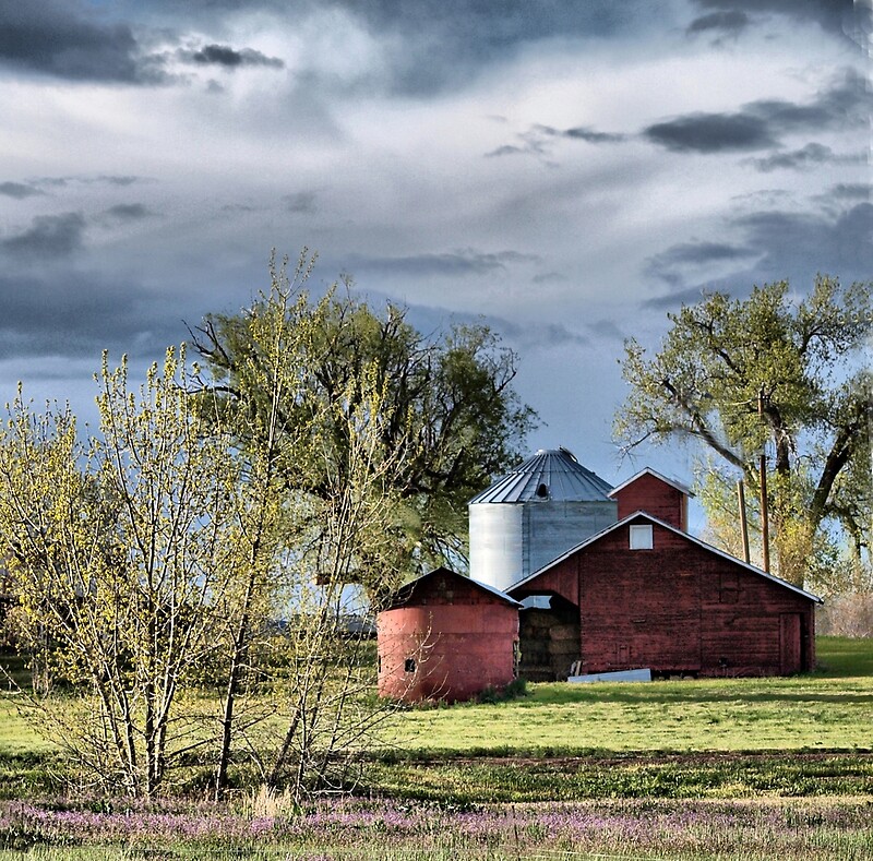 old-mr-jones-once-had-a-farm-by-barb-miller-redbubble