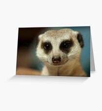 Happy Thoughts Greeting Card