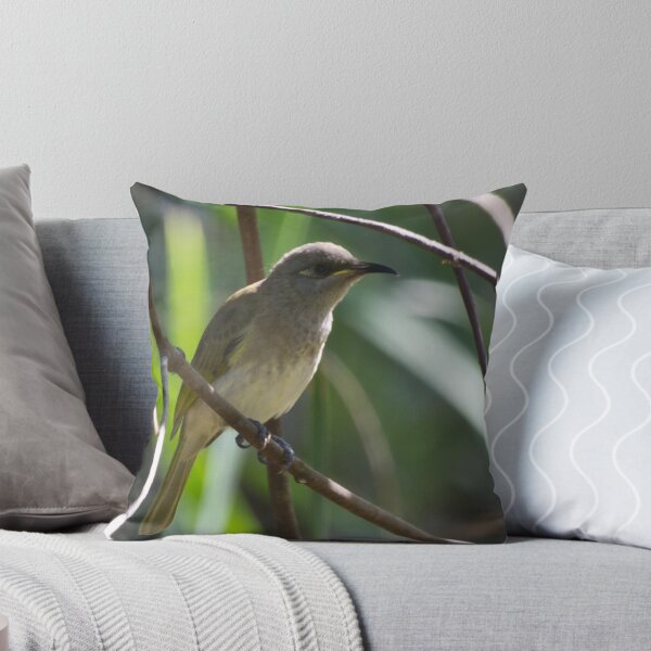 Item preview, Juvenile Brown Honeyeater designed and sold by TGrowden.