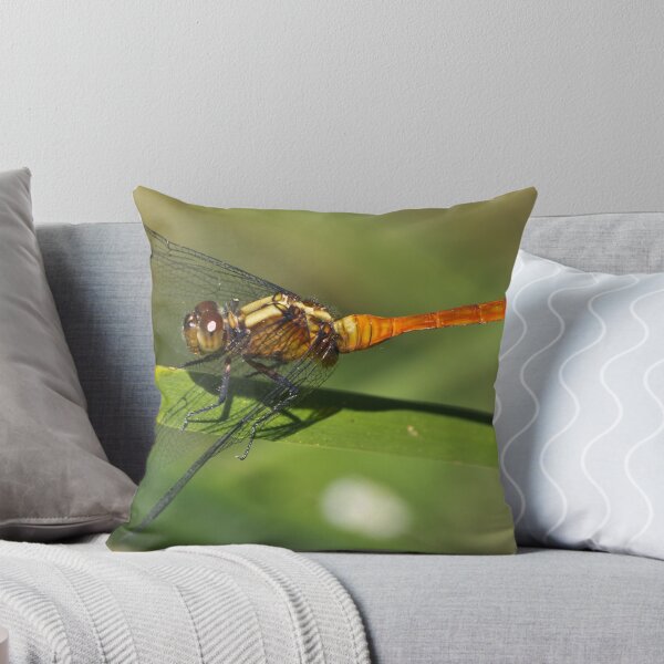 Item preview, Dragonfly designed and sold by TGrowden.