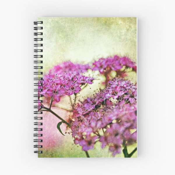Item preview, Spiraea Japonica designed and sold by ASTRID EWING.
