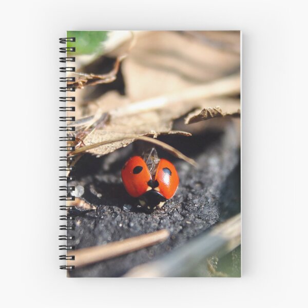 Item preview, 5 spot ladybird designed and sold by GreyFeatherPhot.