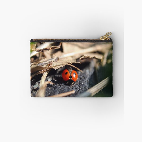 Item preview, 5 spot ladybird designed and sold by GreyFeatherPhot.
