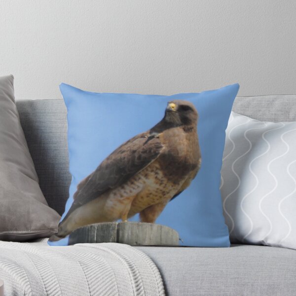 Item preview, Hawk  designed and sold by Coleen Gudbranson.
