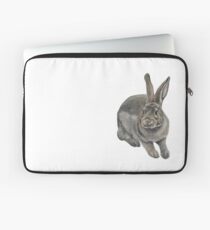 Hase Laptoptasche