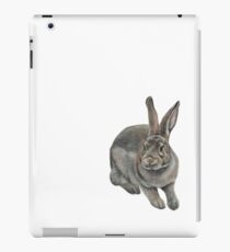 Hase iPad-Hülle & Skin