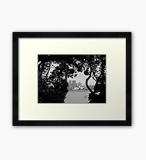 Sneak Peek Framed Print