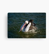 Bath time Canvas Print