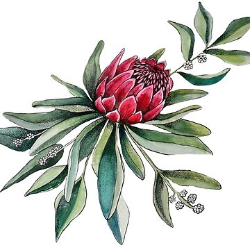 Artwork thumbnail, Protea watercolor by MagentaRose