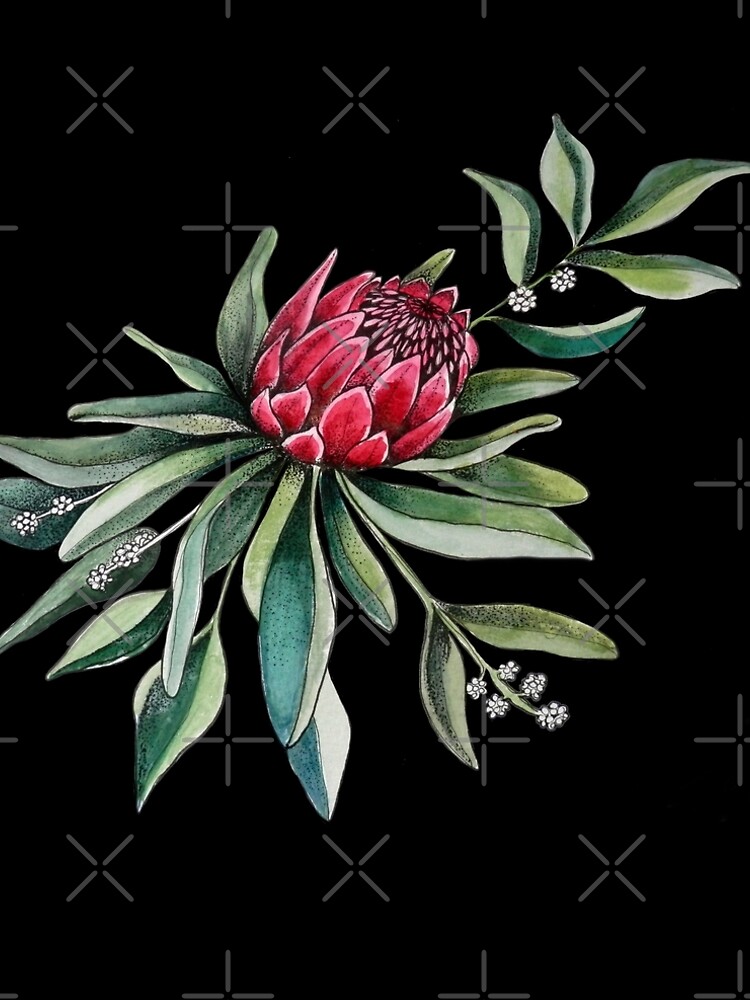 Protea watercolor by MagentaRose