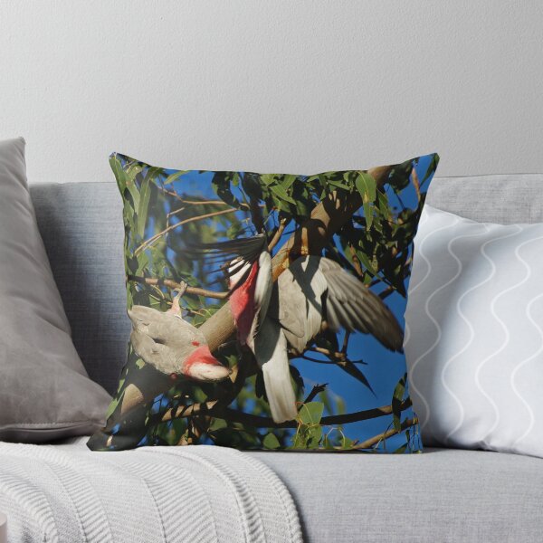 Item preview, Galahs Playing (Cacatua roseicapilla) designed and sold by TGrowden.