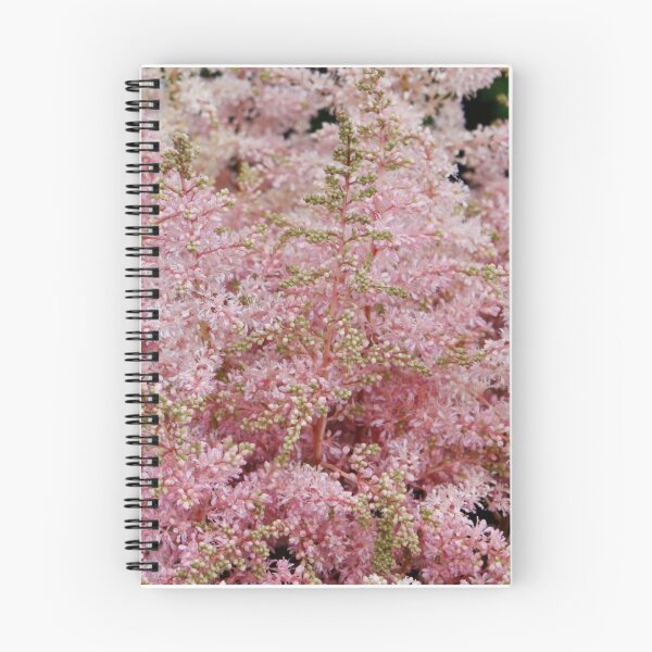 Item preview, Pink Astilbe designed and sold by AnnDixon.