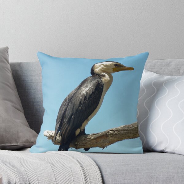 Item preview, Little Pied Cormorant designed and sold by TGrowden.