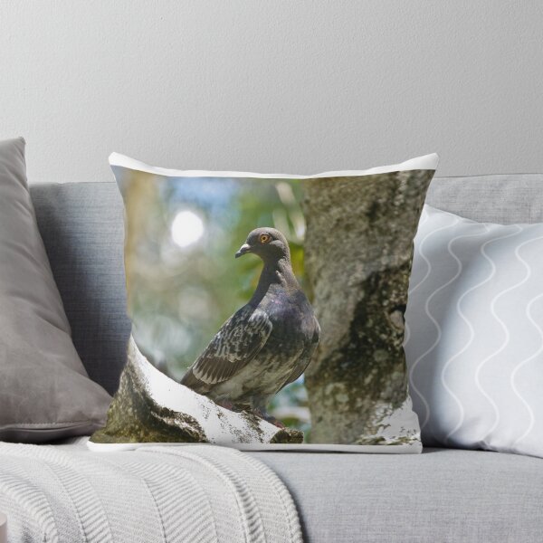 Item preview, Australian Rock Dove designed and sold by TGrowden.