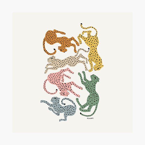 Rainbow Cheetah Photographic Print