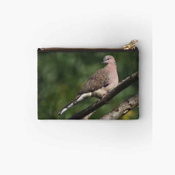 Item preview, Spotted Turtle Dove designed and sold by TGrowden.