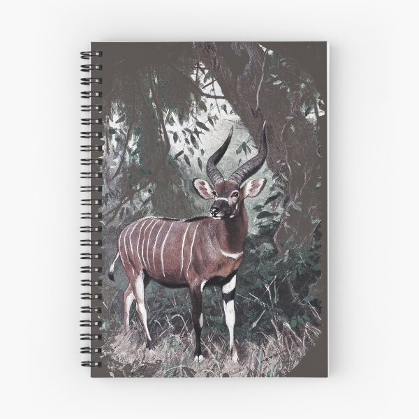 Item preview, Painting of The Bongo designed and sold by marmur.