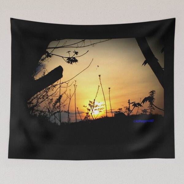 Item preview, "Sunset and the Spider" designed and sold by Robert Regenold's Art Shop.