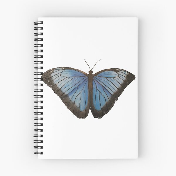 Item preview, blue morpho butterfly ink and colored pencils designed and sold by cortbart.
