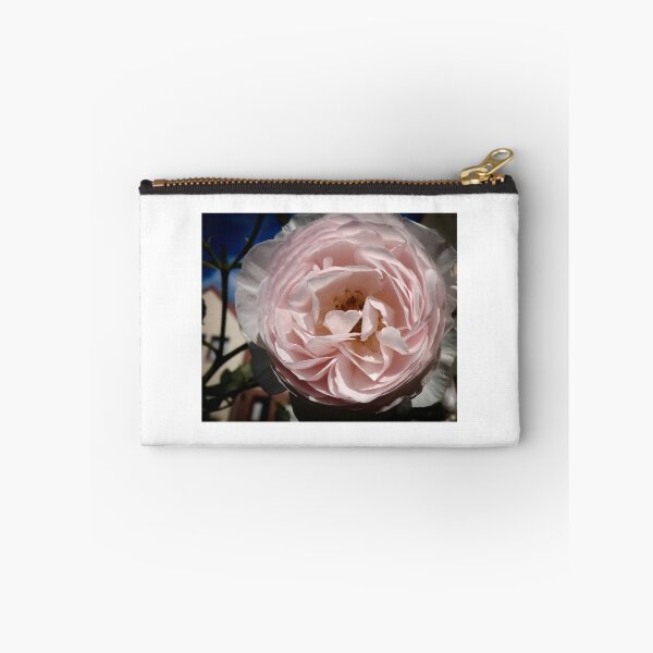Artikelvorschau, Garten rosa entworfen und verkauft von Isquaredimages.